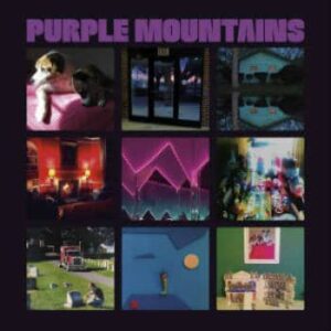 purple 1